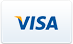 Visa Logo