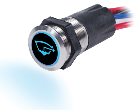 BLUE SEA 4181 PUSH BUTTON SWITCH OFF-(ON) MOMENTARY 4181 15A BACKLIT