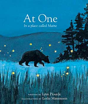 BOOK AT ONE: IN A PLACE CALLED MAINE BY L PLOURDE